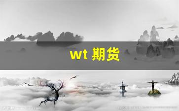 wt 期货(wt期货)_https://www.gfdzclz.com_深交所_第1张